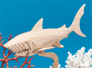 18100-white-shark.gif (12533 bytes)