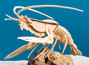18107-lobster.gif (15022 bytes)