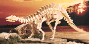 18142-apatosaurus.gif (16043 bytes)
