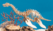 18143-plesiosaurus.gif (13617 bytes)