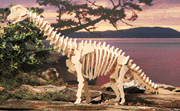 18147-brachiosaurus.gif (19841 bytes)